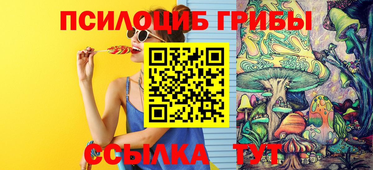 Псилоцибиновые грибы прущие грибы Белорецк